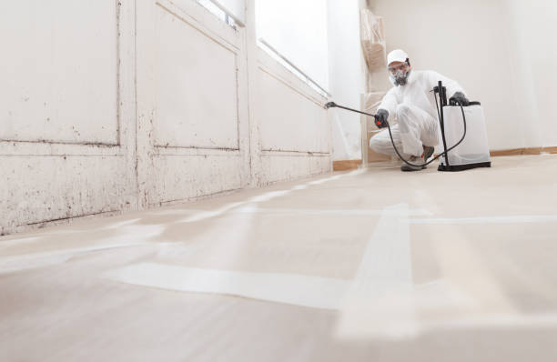 24/7 Emergency Mold Cleanup experts in Colleyville, TX
